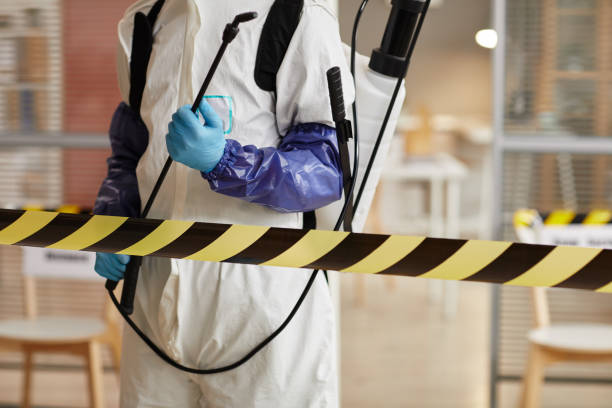 Professional Sewage Cleanup technician working in Roseland, FL